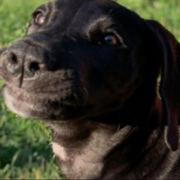 Meet your Posher, Shannon - Picture 1 of 1